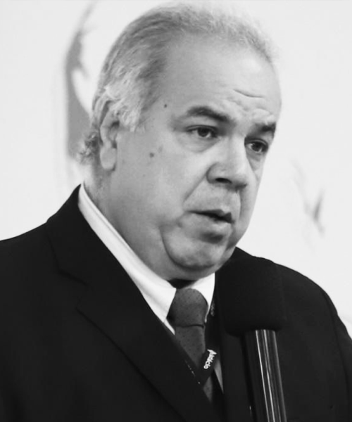 FERNANDO FERNANDO